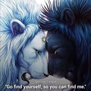 Meet your Posher, Doris